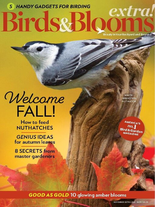 Title details for Birds and Blooms Extra by Trusted Media Brands Inc. - Available